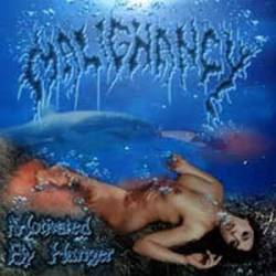 Malignancy : Motivated by Hunger